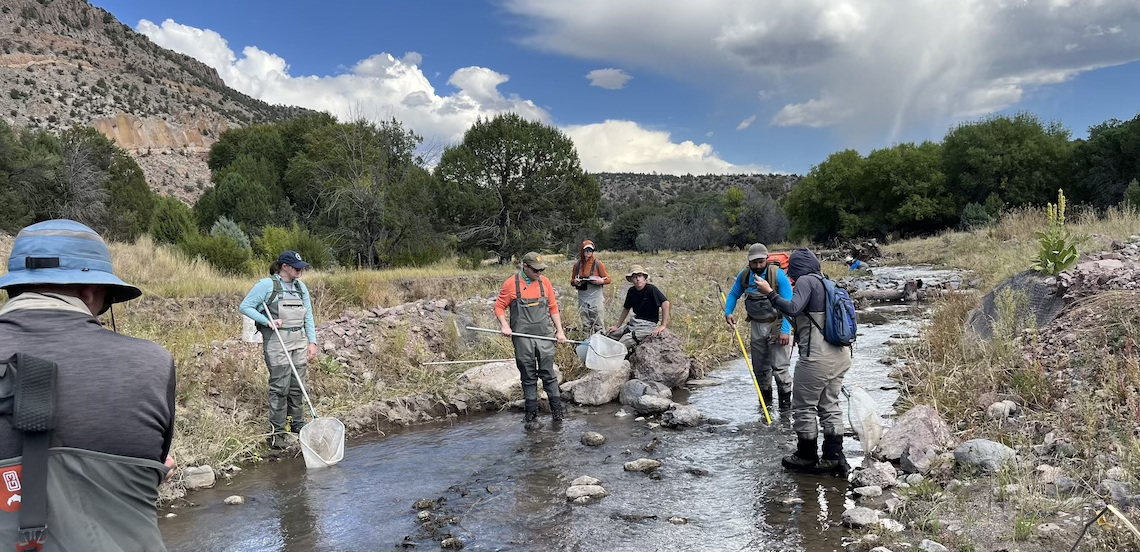 fish sampling in river