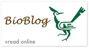 Read the Bioblog online