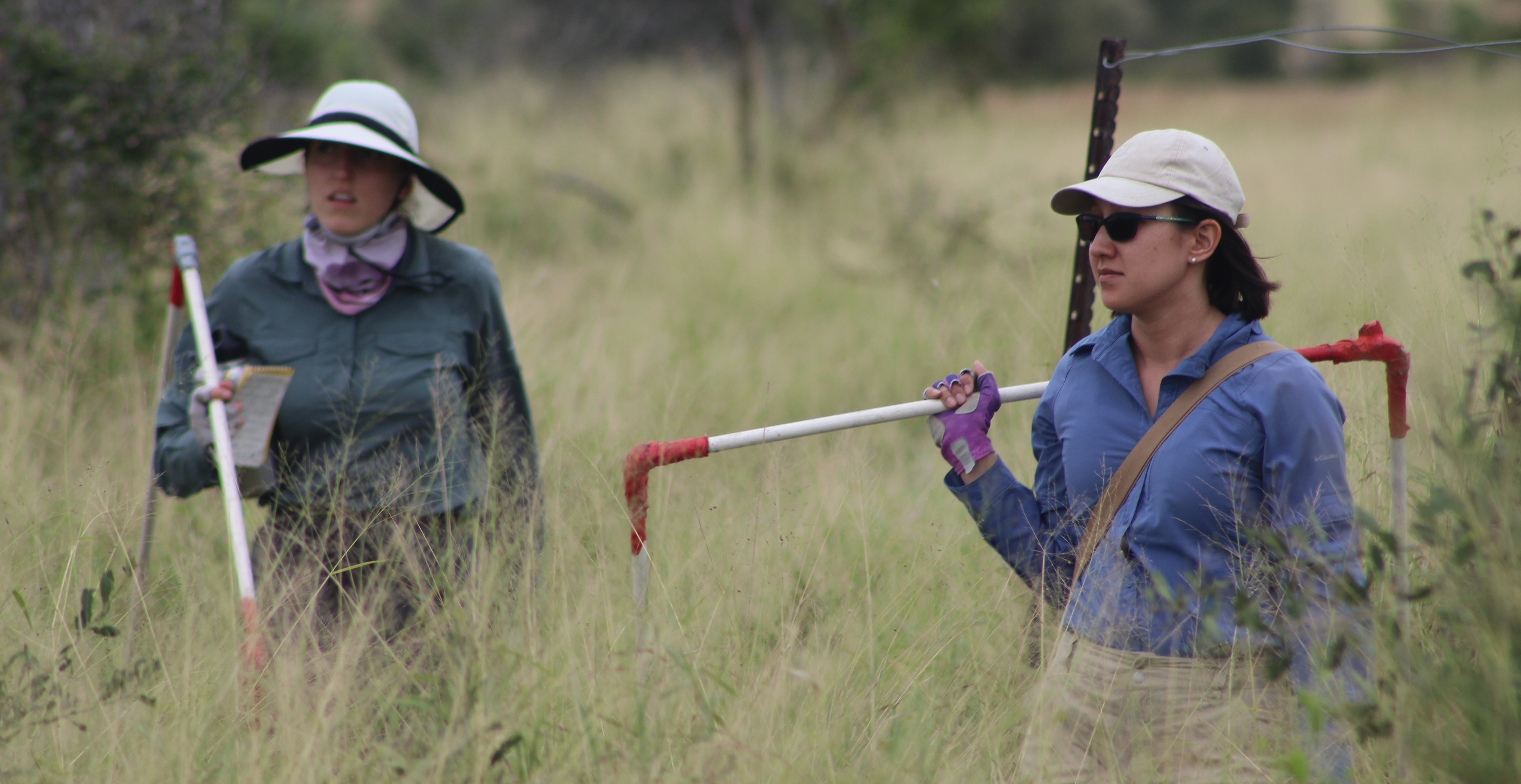 Graduate Program Overview Department of Biology The University of