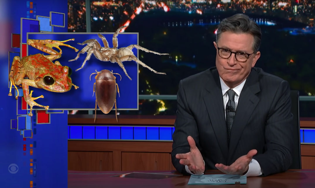 Steven Colbert with his namesake beetle