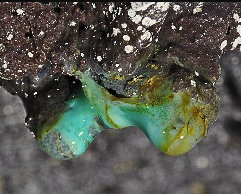 Microbes in lava cave